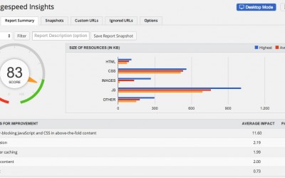 API key for Google PageSpeed